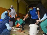Pemilahan Sampah Organik dan Anorganik